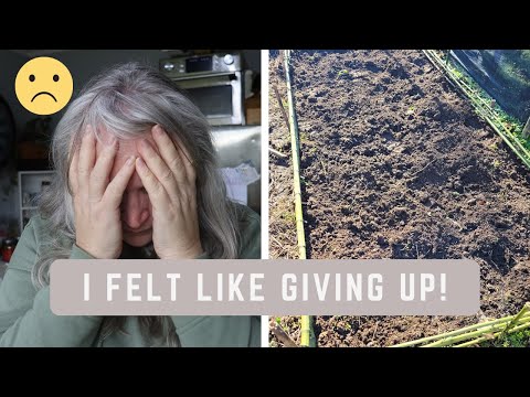 Sometimes Homesteading SUCKS!