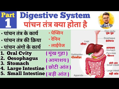 Digestive System ( पांचन तंत्र ) | GI Tract | Organs of Digestive System | Oral Cavity | Oesophagus