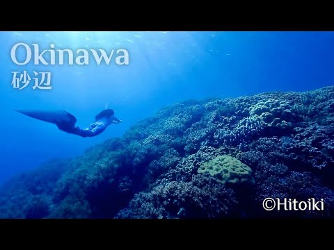 シュノーケリング＠沖縄砂辺：Free Diving in Japan's Snorkeling Spot Okinawa Sunabe Coral, UFO