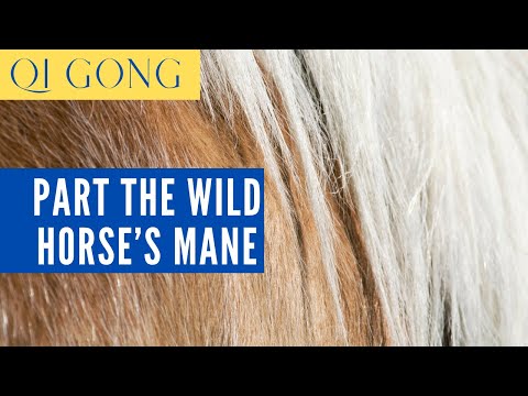 Part the Wild Horse's Mane