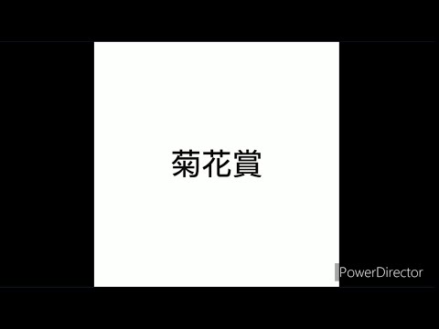 【ゆっくり】菊花賞 2023【競馬予想】