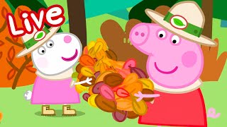 Peppa Pig Full Episodes - LIVE 🚨 BRAND NEW PEPPA PIG EPISODES ⭐️