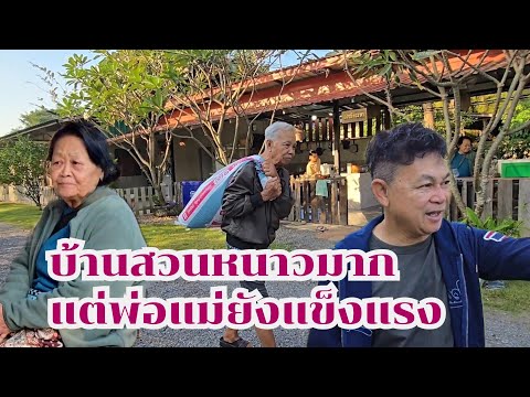 บ้านสวนหนาวมาก  แต่พ่อยังแข็งแรง#บ้นสวนกำภูEp1222