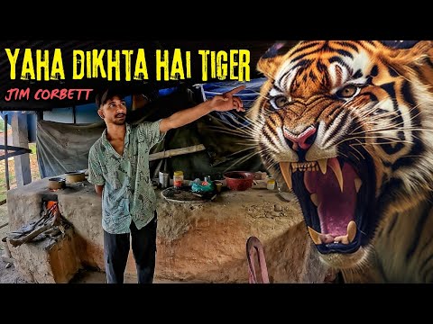 Jim Corbett National Park mein Tiger Sighting karni hai? Uaha aa jao