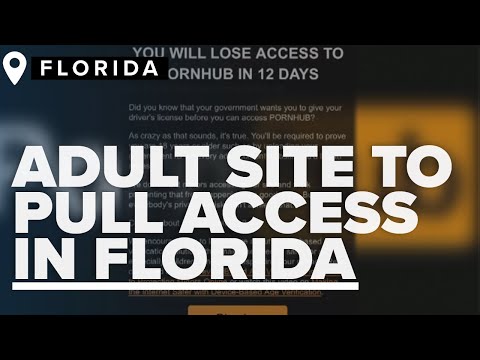 Florida residents to lose access to PornHub amid new ID verification law for adult sites