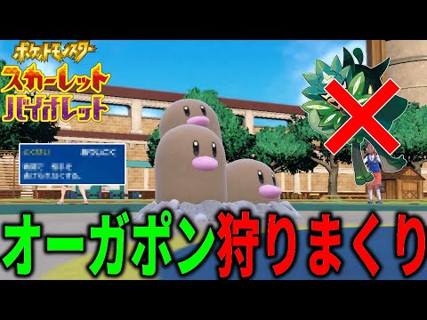 オーガポンに"ほぼ確実"に勝てるポケモンが見つかる… ダグトリオで鬼退治します【ポケモンSV】