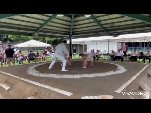 【わんぱく相撲】神奈川県民ジュニア小学生県予選会💪四年生男子の部😃2023.6.18(日)【葵相撲道場】