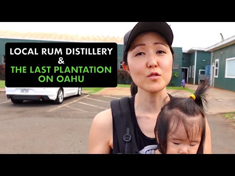 VISITING A LOCAL RUM DISTILLERY AND THE LAST PLANTATION ON OAHU