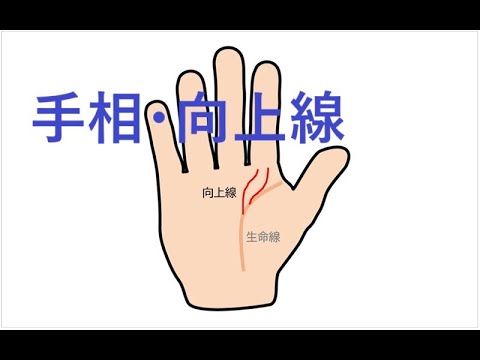 『向上線』手相　～向上線を伸ばす方法★努力、目標、只今に生きる～　手相開運術