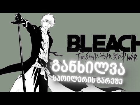 Bleach - ის განხილვა ( Without Spoilers )