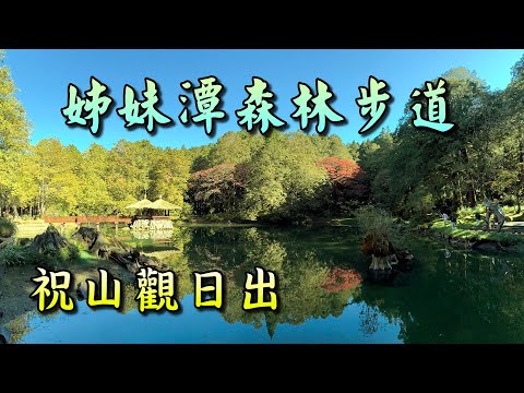 阿里山姊妹潭森林步道&祝山觀日出