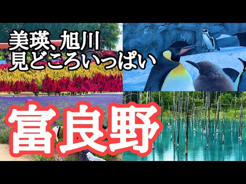 【北海道観光】リピーターによる絶対おすすめ　富良野〜美瑛〜旭川、見どころ総集編