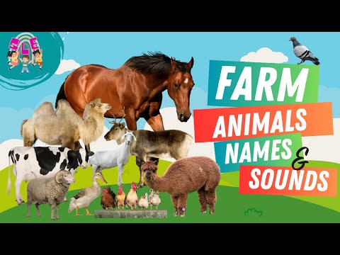 Farm Animals Names with Their Sounds for Kids Learning | Educational Video for Kids