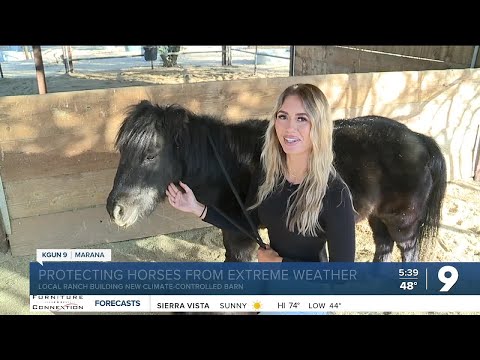 Marana horse sanctuary receives $30,000 donation for climate-controlled barn