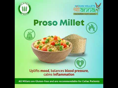 Proso Millets