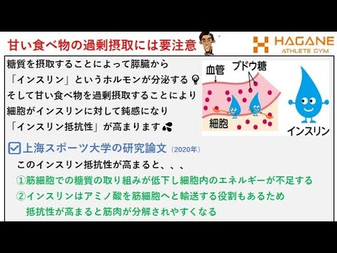 筋力を高めたいなら甘い食べ物の過剰摂取には要注意🙅