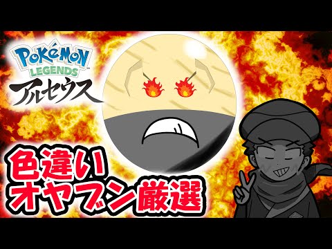 オヤブン色違いマルマイン厳選ガチでやる配信【Pokémon LEGENDS アルセウス】