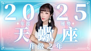 2025 天蠍座運勢｜⭐年度事業+感情分析⭐【升級】之年｜ 星座運勢命盤 ｜米薩小姐