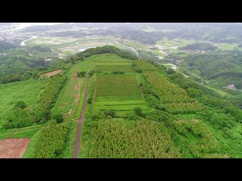 ５【ドローン映像】紅茶専門店くれは　南薩摩紅茶　天空の茶園より　錦江湾を望む　地上１００メートルからの空中撮影　岡本啓さん　後藤望さん（鹿児島県肝属郡南大隅町根占　２０１７年０７月１２日）