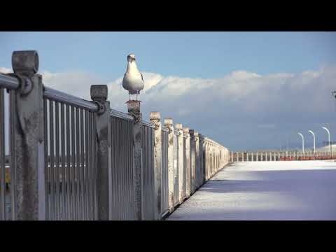 青森ベイエリア　白の世界