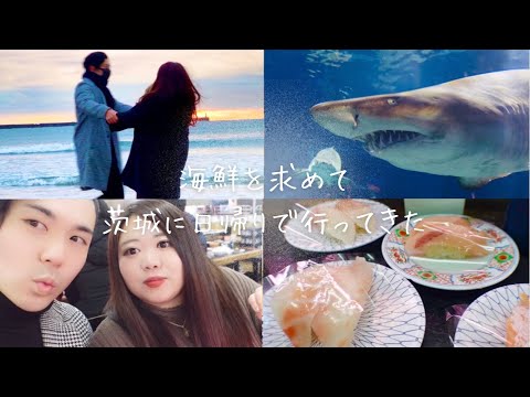 【デートvlog】マッチングアプリカップル/ぽっちゃり彼女とマッチョ彼氏の茨城旅。　　　　/大洗水族館/アウトレット/茨城/旅行/水族館/寿司/