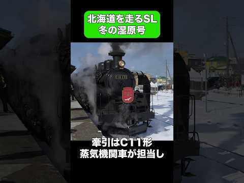 北海道で冬のみ走るSL冬の湿原号 #shorts