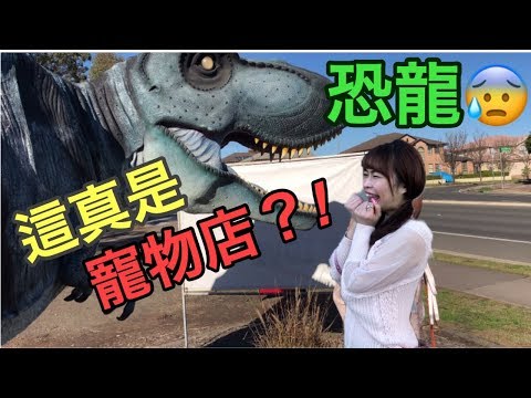 驚奇寵物店大揭秘....在穿越時空？竟會有？！Biggest Pet Shop In South Hemisphere [悉尼搞乜鬼4］