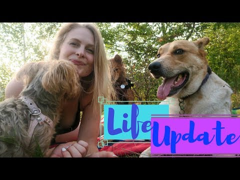 Hike with the Dogs and Life Update!