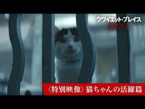 映画『クワイエット・プレイス：DAY 1』〈特別映像〉猫ちゃんの活躍篇｜6月28日(金)全国ロードショー