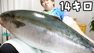 Here is a tutorial of how to clean a yellowtail perfectly!