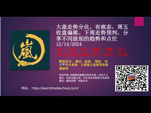 大盘走势分化，有疲态，周五收盘偏熊。下周走势预判，分享不同级别的趋势和点位 /ES，/NQ，SPY，QQQ，IWM, TLT, TSLA,NVDA,AMD,CVS，AVGO，PLTR, 10Y