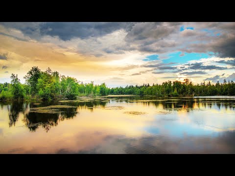 自然声音  钢琴音乐  平静静心  解压放松  Ambient  Music  piano music  relaxing music