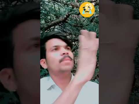 Hanth ke Rekha mehi likha hai takhlip#shot #viral #vidio #stetus #