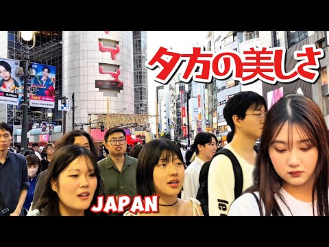 [4K] Shibuya Walk: 観光客のお気に入りの場所 || Tokyo, Japan 2024||