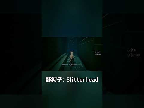 まずは犬に #ps5 #ゲーム実況 #野狗子