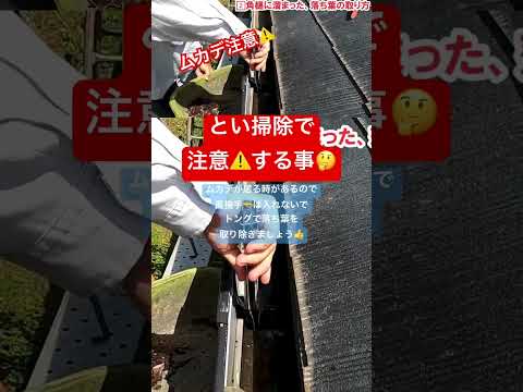 💁‍♂️動画紹介🎥とい掃除で注意⚠️する事