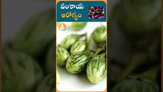 వంకాయ అద్భుత ప్రయోజనాలు | #drcalmssanjeevani #veg #vegetables #brinjal #brinjalrecipe #ytshorts