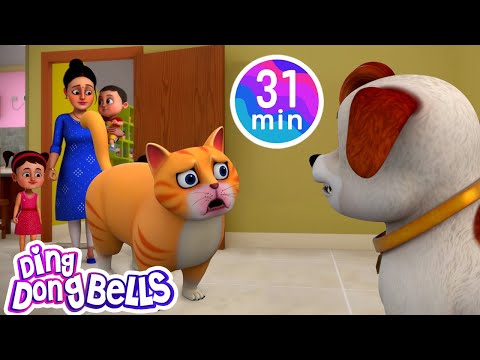 Meow Meow Billi Karti  + 12 more Hindi Rhymes| Nursery Rhymes | Ding Dong Bells