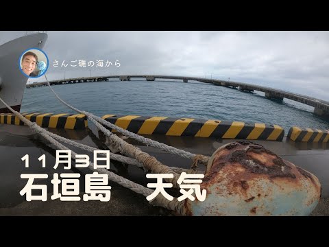 【石垣島天気】11月3日12時ごろ。15秒でわかる今日の石垣島の様子。