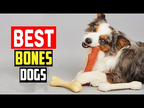 ✅ Top 5 Best Bones for Dogs in 2024