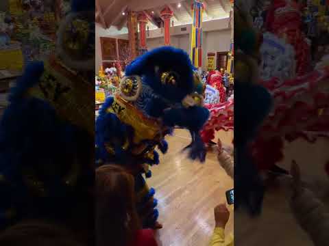 Lion dance at Chùa Đức Viên