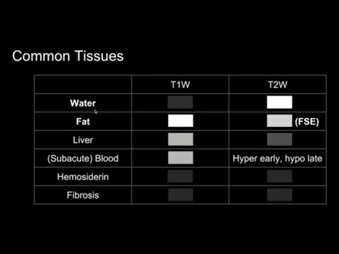 Introduction to MRI: Basics 2 - T1 and T2 relaxation, what tissues look like