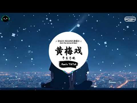 黄梅戏 (抖音DJ版) - 平生不晚『为救李郎离家园，谁料皇榜中状元。』♪ || 一听就上头的音乐 | 抖音熱門歌曲 |  抖音 | TikTok ♪