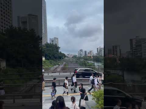 平日飲みは飯田橋/神楽坂