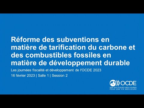 Journées fiscalité et développement de l'OCDE 2023 (Jour 2 Salle 1 Session 2) :