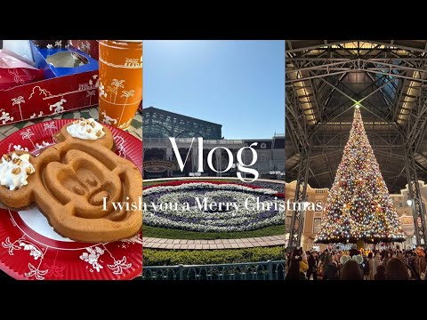 【Disney vlog🏰】ディズニーランドで過ごす素敵な1日🎅🎄Christmas Disney🐭