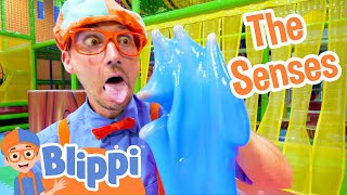 Blippi Learns the 5 Senses at a Play Place | Blippi Full Episodes | Educational Videos | Blippi Toys