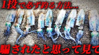 仕方ねぇ...時間ねえから1投でアオリイカ釣ってやるよ‼︎【エギング】