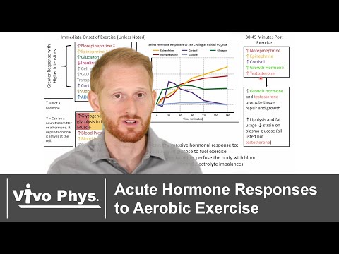 Overview of Acute Hormone Responses to Aerobic Exercise