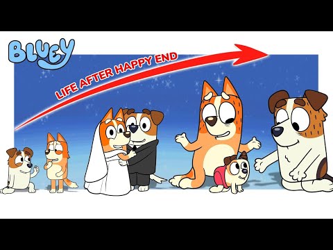 Bluey Heeler 2024 Life After Happy End Compilation | Go WOW